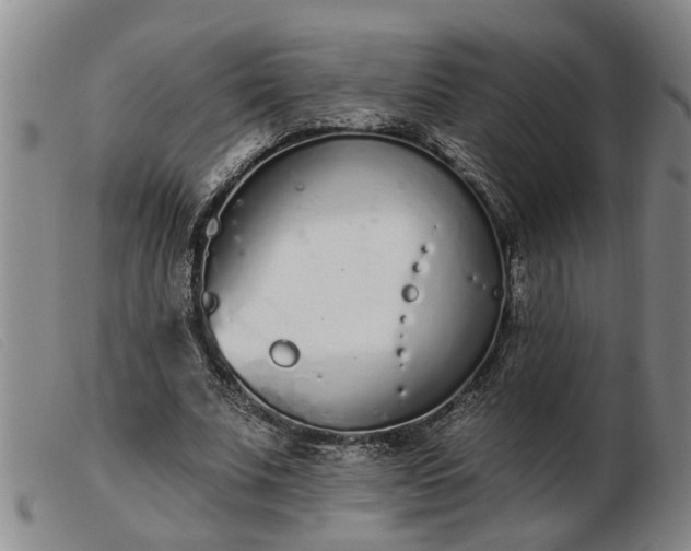 X0000103400679200809191522