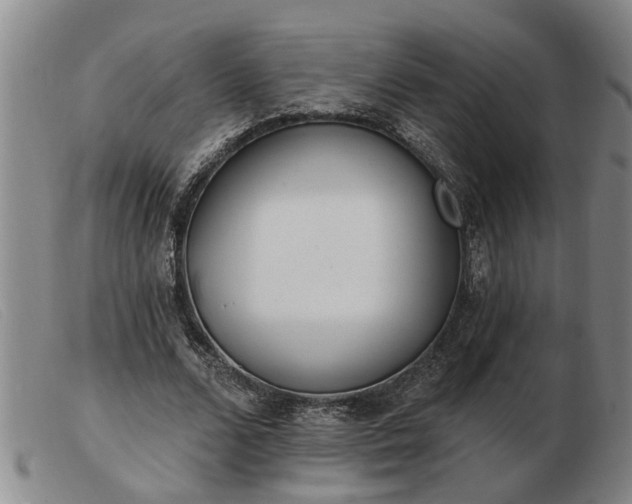 X0000103400680200809191522