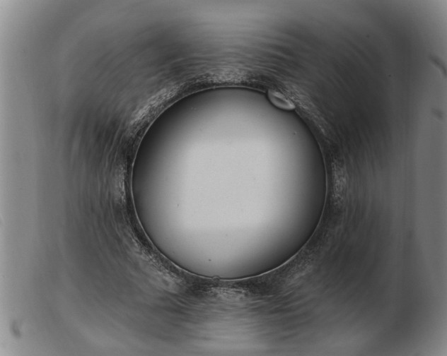 X0000103400681200809191522