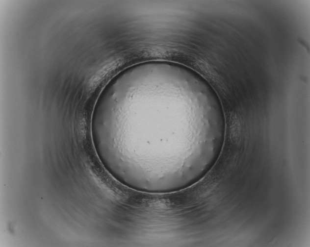 X0000103400683200809191522