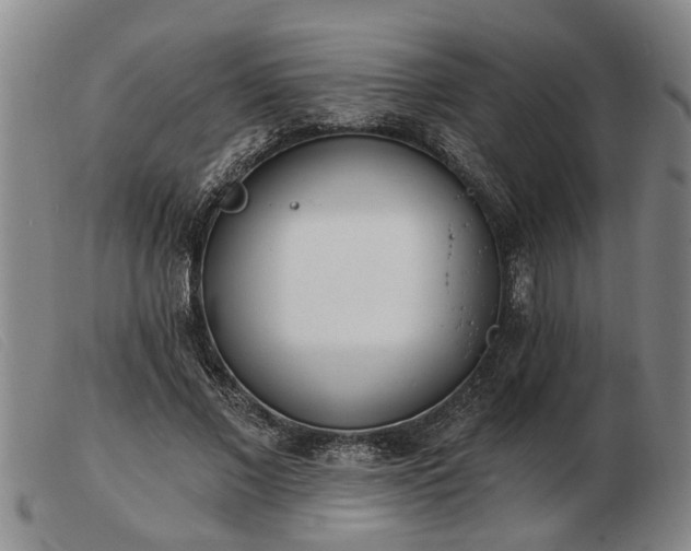 X0000103400685200809191522