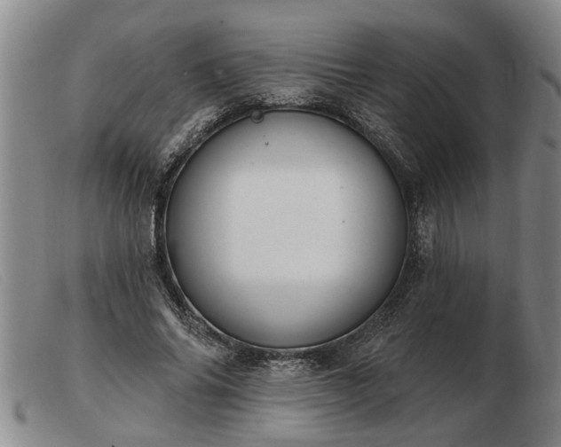 X0000103400686200809191522