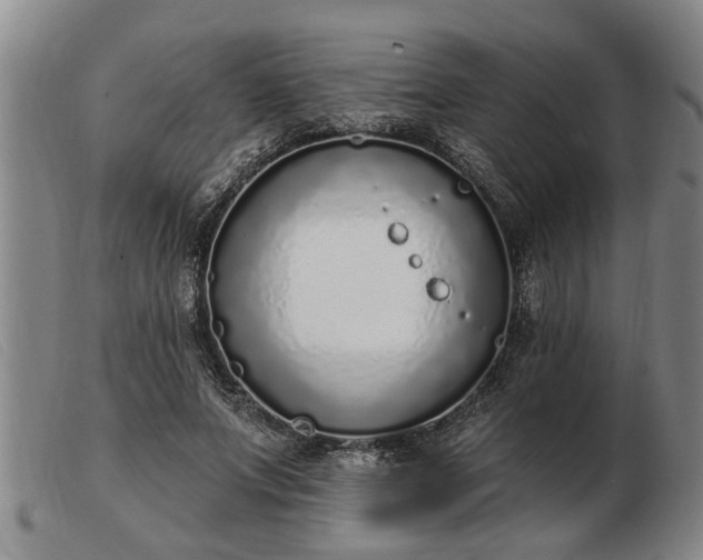 X0000103400687200809191522