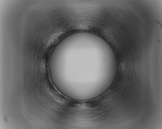 X0000103400688200809191522