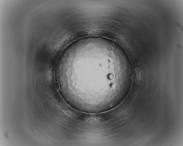 X0000103400691200809191522