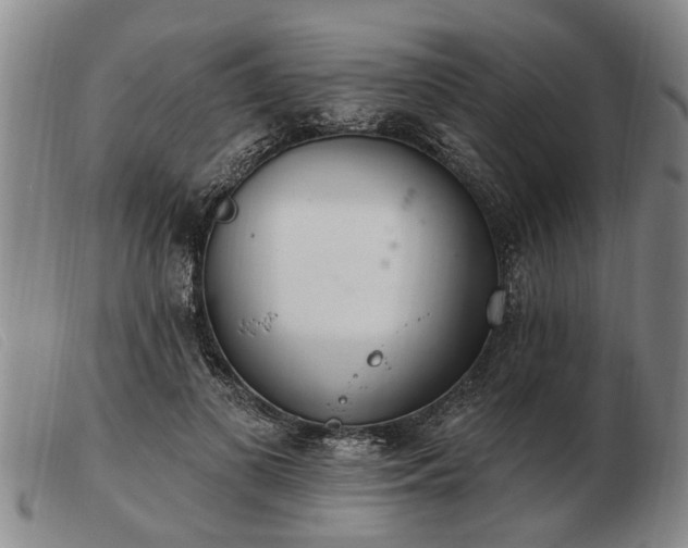 X0000103400693200809191522