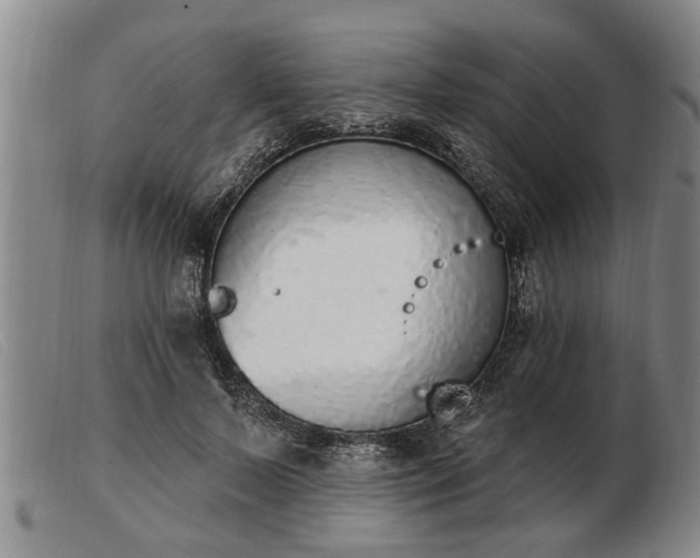 X0000103400695200809191522