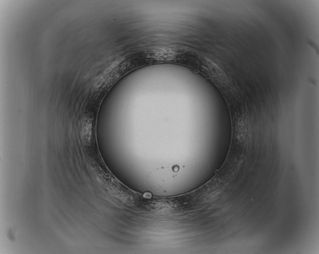 X0000103400697200809191522