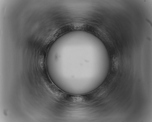 X0000103400698200809191522