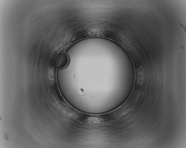 X0000103400699200809191522