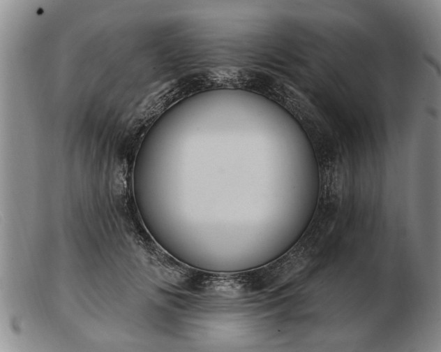 X0000103400702200809191522