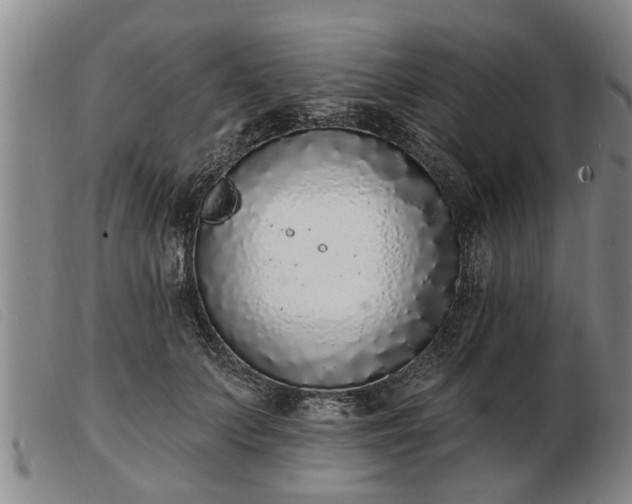 X0000103400703200809191522