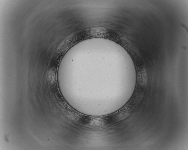 X0000103400705200809191522