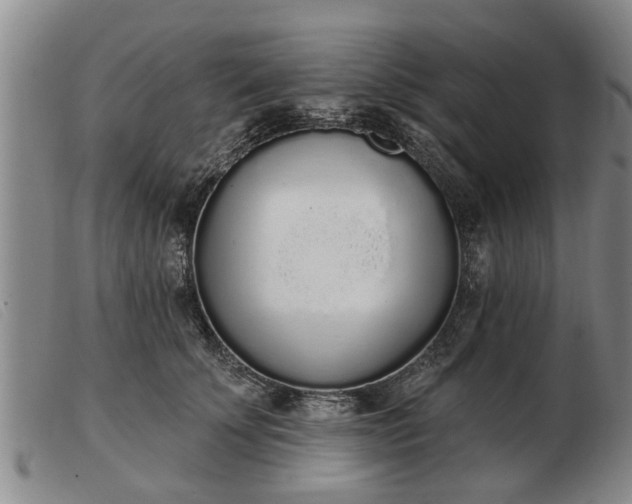 X0000103400707200809191522