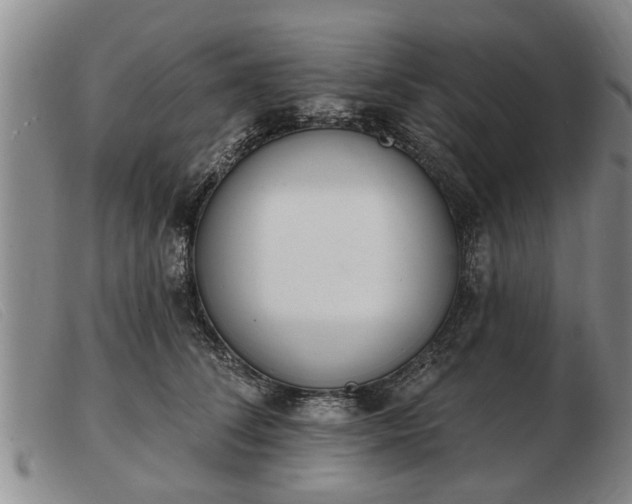 X0000103400708200809191522