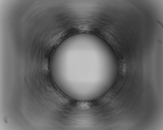 X0000103400710200809191522