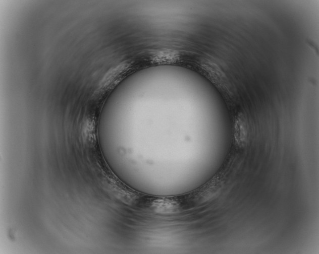 X0000103400714200809191521