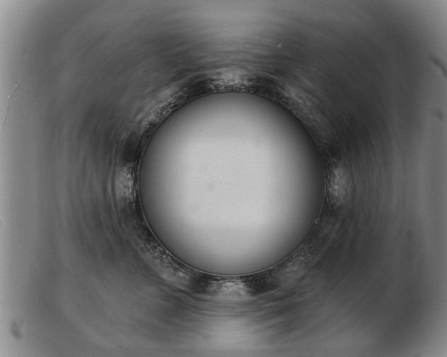 X0000103400715200809191521