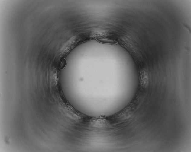 X0000103400716200809191521