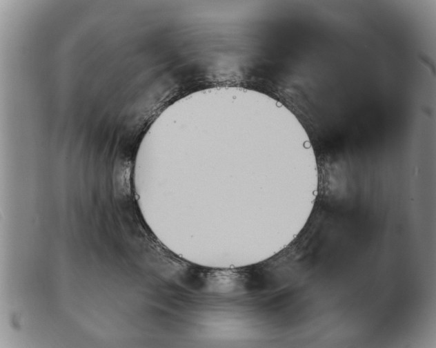 X0000103400717200809191521