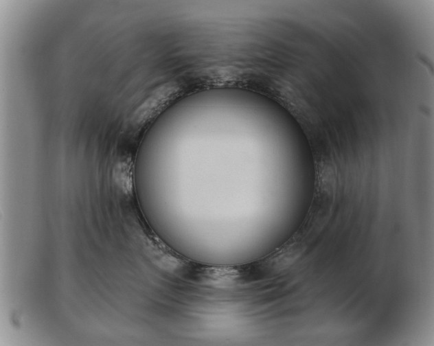 X0000103400719200809191521