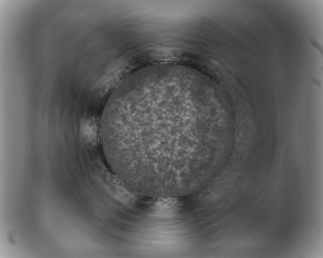 X0000103400720200809191521