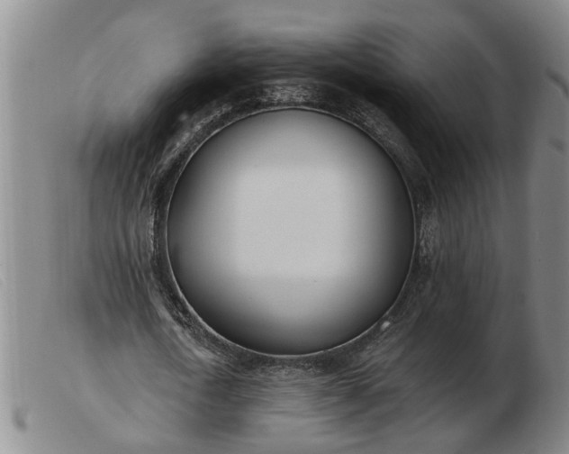 X0000103400722200809191521