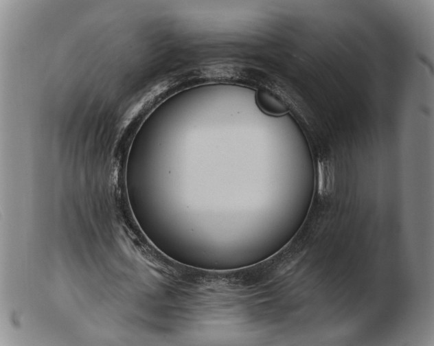 X0000103400723200809191521