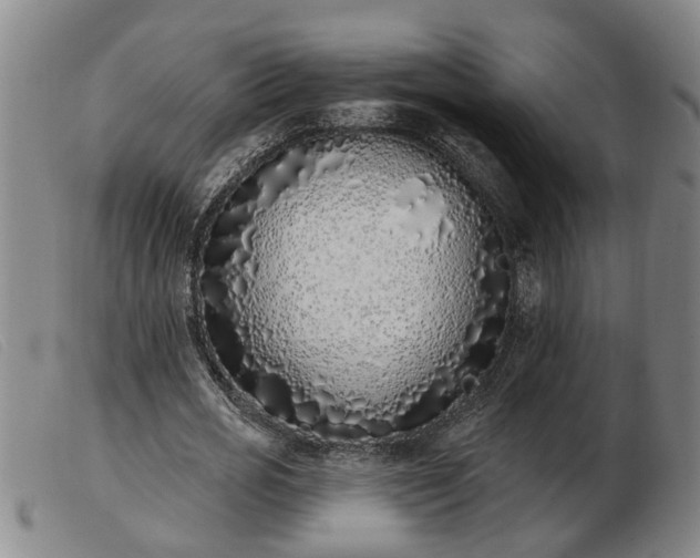 X0000103400725200809191521