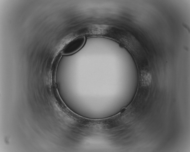 X0000103400726200809191521