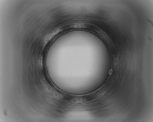 X0000103400727200809191521