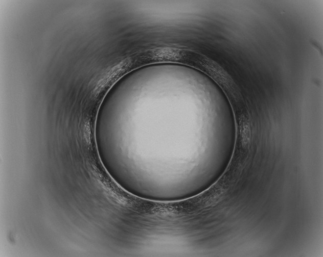 X0000103400729200809191521