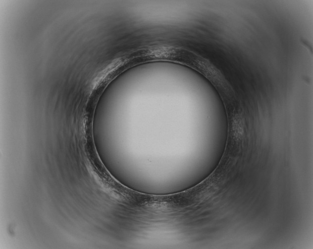 X0000103400730200809191521