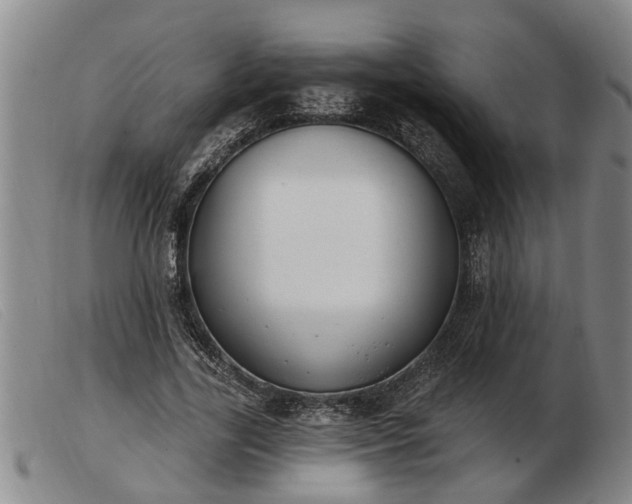 X0000103400731200809191521