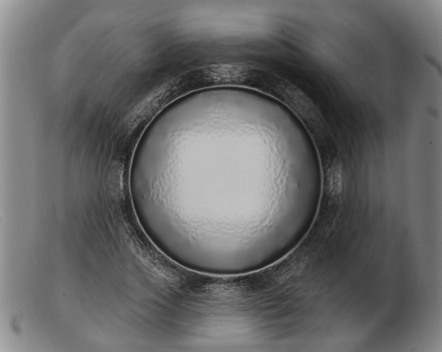 X0000103400733200809191521