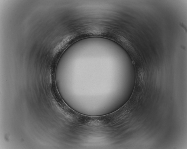 X0000103400734200809191521