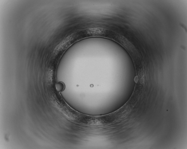 X0000103400735200809191521