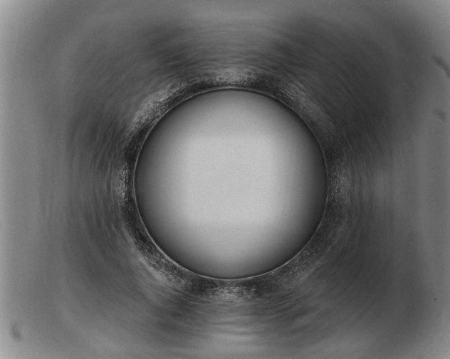 X0000103400736200809191521