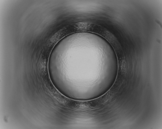 X0000103400737200809191521