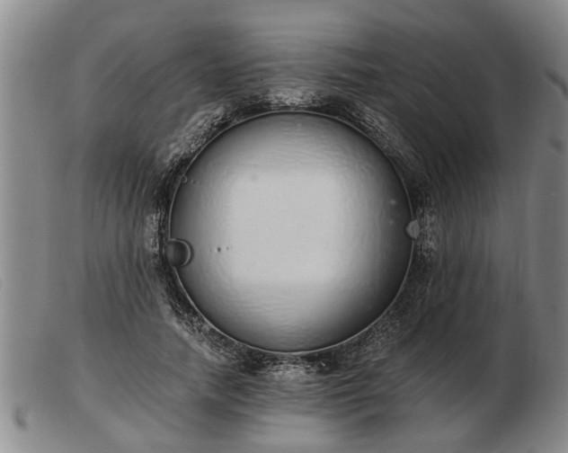 X0000103400738200809191521