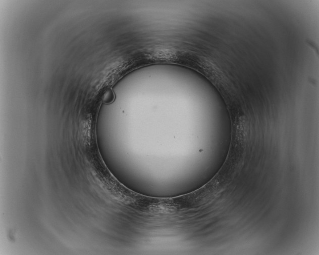 X0000103400739200809191521