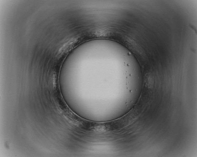 X0000103400740200809191521