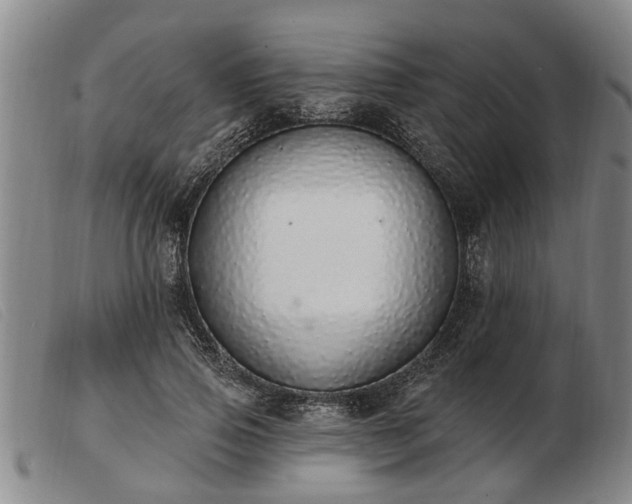 X0000103400741200809191521