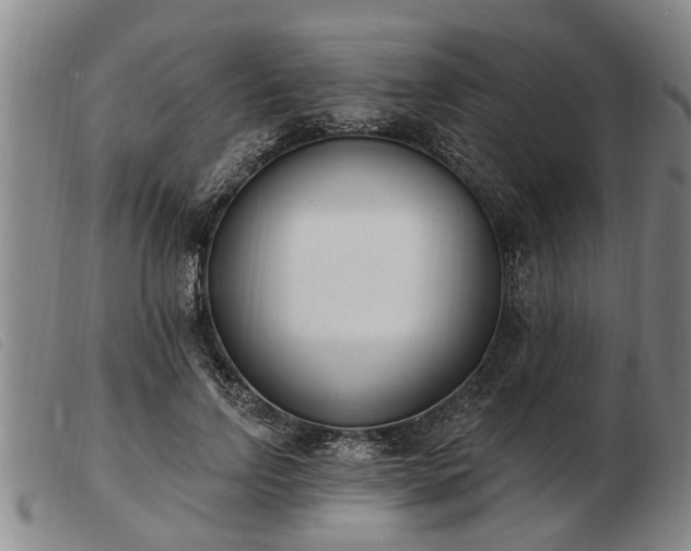 X0000103400742200809191521