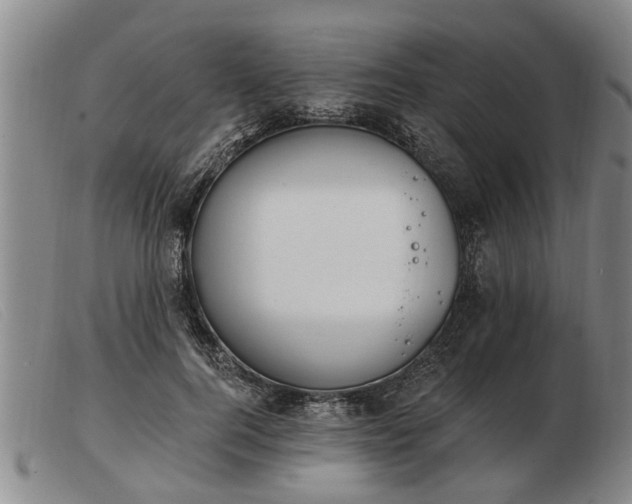 X0000103400744200809191521