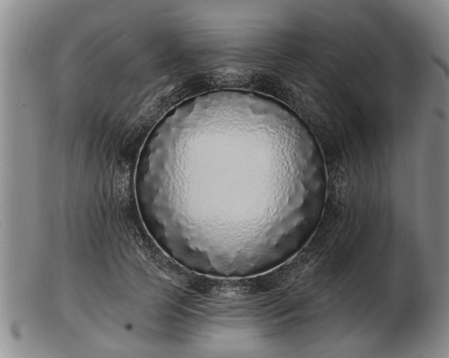 X0000103400745200809191521