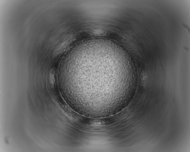 X0000103400746200809191521