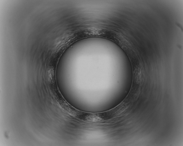 X0000103400747200809191521