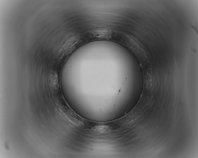 X0000103400748200809191521