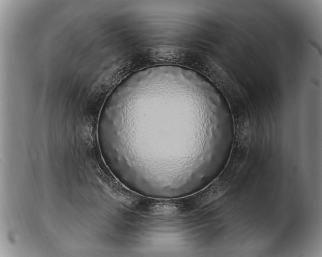 X0000103400749200809191521